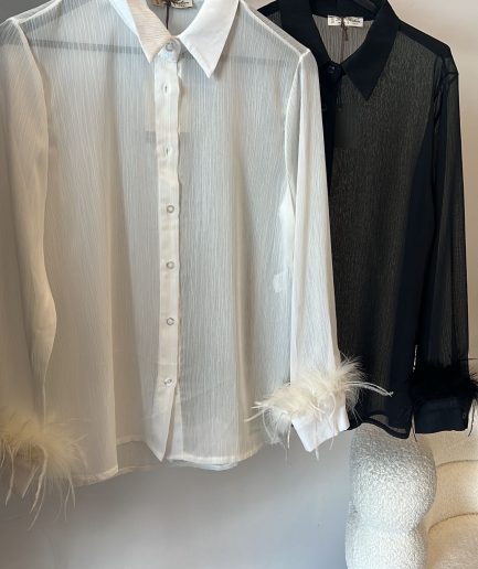 ΠΟΥΚΑΜΙΣΟ ΜΕ ΦΤΕΡΑ